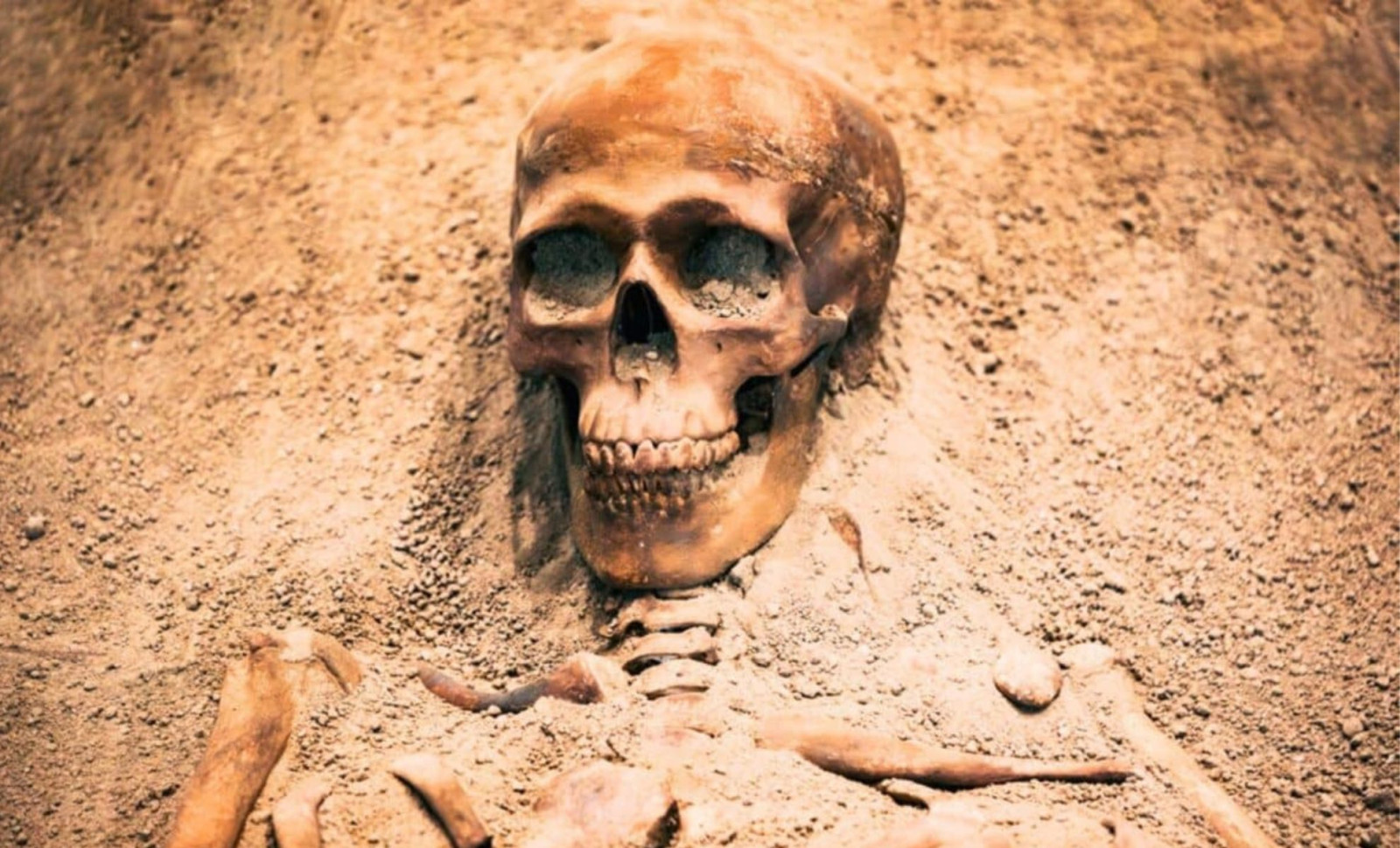 8.7-Million-Year-Old Ape Skull from Türkiye Challenges Human Evolution Theories 