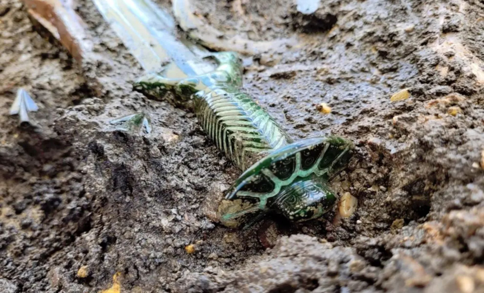 Remarkably Preserved 3,000-Year-Old Bronze Sword Discovered in Bavaria 