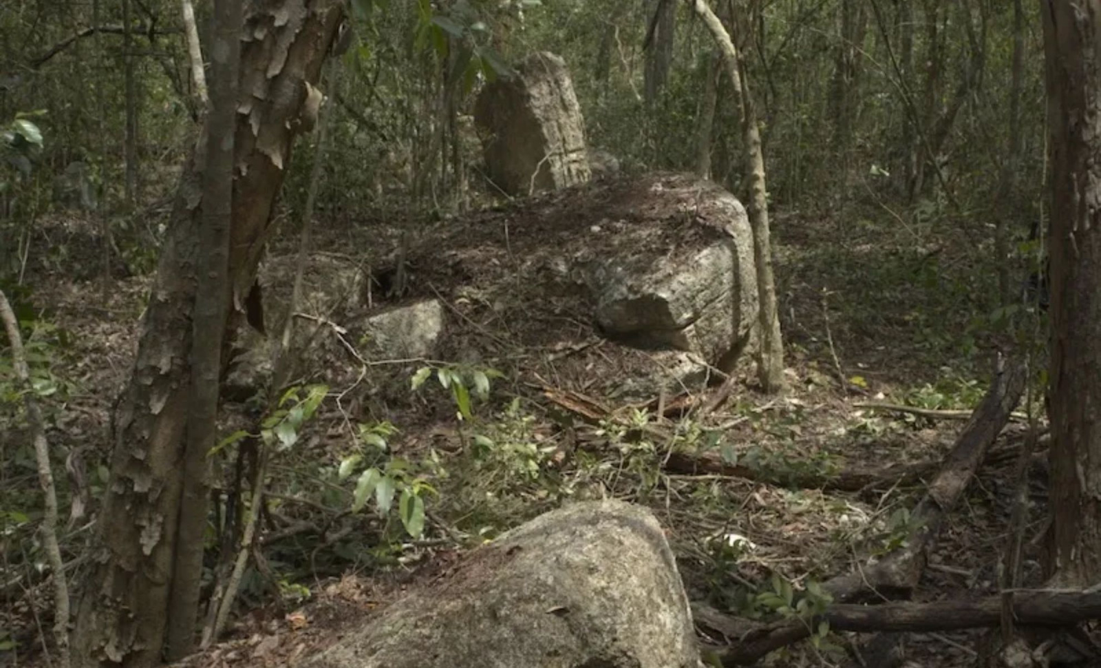 Scientists Map an Ancient Maya Metropolis Hidden for Over Two Millennia in Mexico’s Jungle 