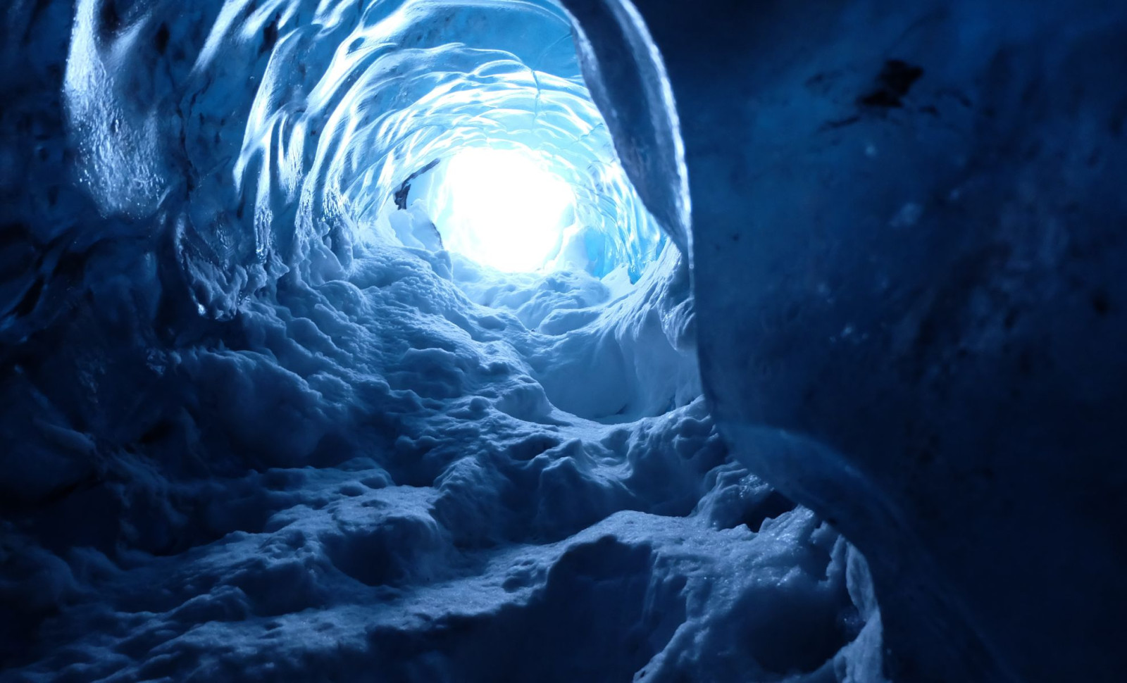Researchers Unearth 28 Previously Unknown Ancient Viruses in Tibetan Glacier Ice 