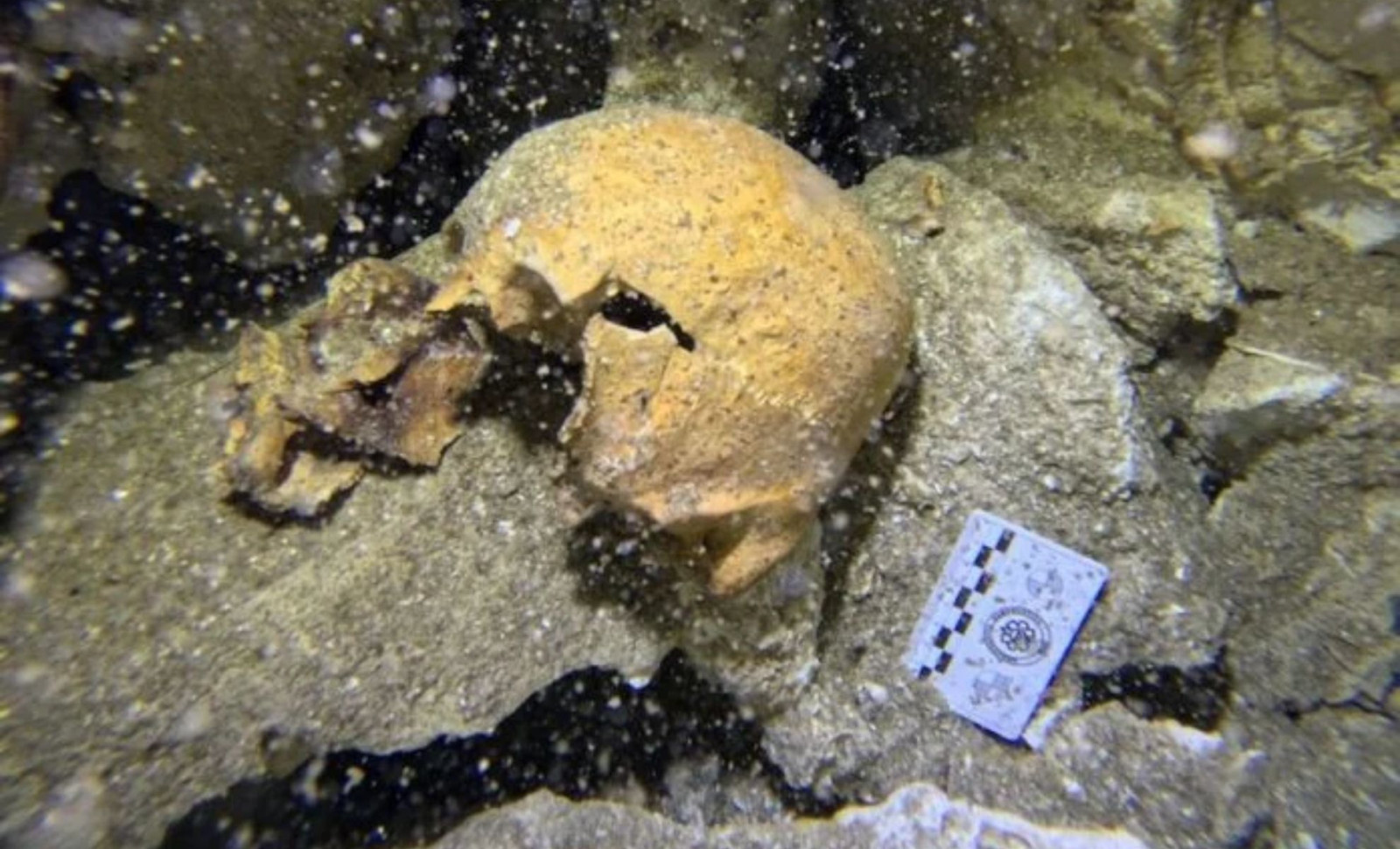 Divers Uncover Ancient Maya Remains and Artifacts in Deep Mexican Cenote 