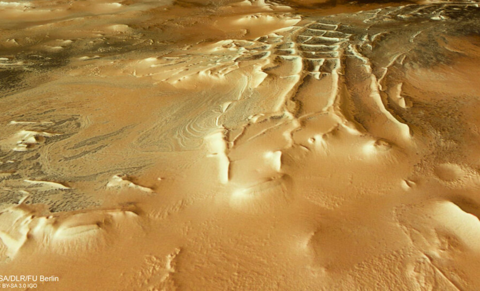 ESA’s Mars Imagery Reveals Extensive Networks of Spider-Like Structures Near Inca City 