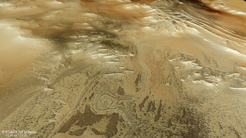 97defa313f94438b647bf29f5236ce40.jpg