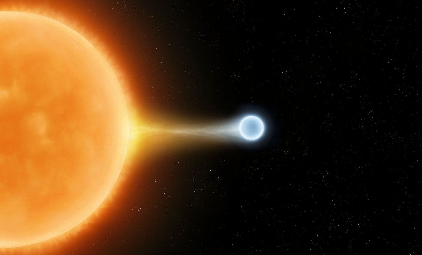 Four Concealed White Dwarfs Discovered Near the Sun After Decades of Eluding Detection 
