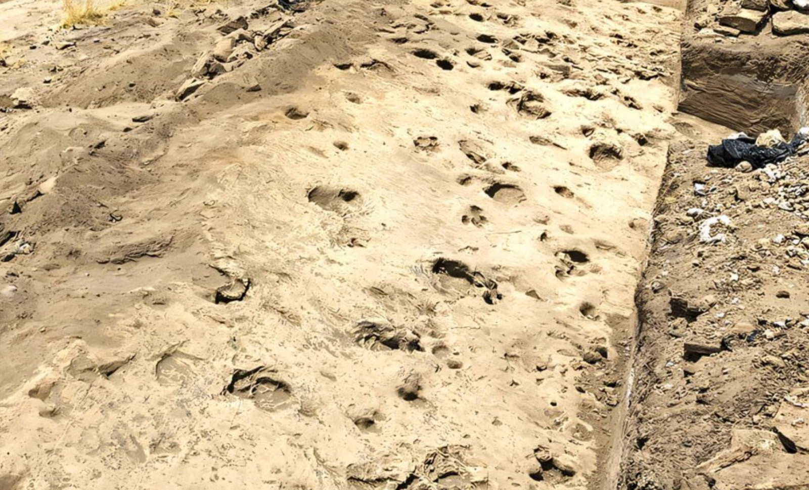 1.43-Million-Year-Old Footprints Reveal Ancient Human Relative Lived in Male Groups 