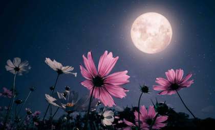 May’s Flower Moon Illuminates the Night Sky Near Red Giant Antares