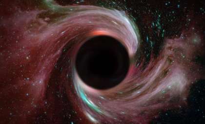 New Insights into Stars Disappearing Directly into Black Holes