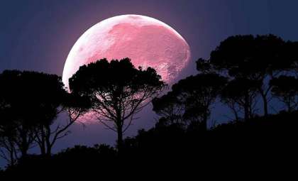 Experience the Stunning 2024 Strawberry Moon This June 21st