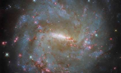 Hubble Uncovers the Intricate Star Formation Within Galaxy NGC 3059