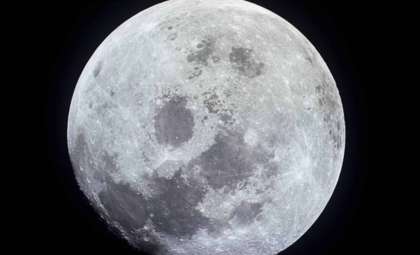 Scientists Propose Moon-Based Vault to Preserve Genetic Material of Endangered Species