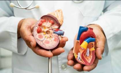 New Insights Reveal How Diet Changes Can Lower Risks of Heart and Kidney Conditions