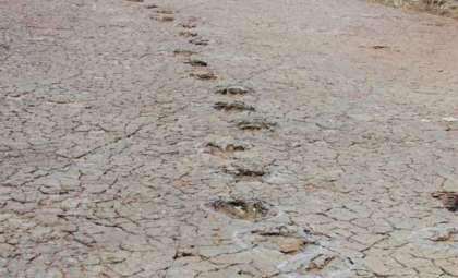 Remarkable Discovery: Identical Dinosaur Footprints Found Across South America and Africa Reveal Ancient Continental Links
