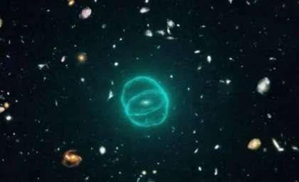 MeerKAT Reveals a Mysterious Faint Radio Ring Close to the Milky Way’s Core
