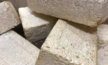 NASA Develops Fungal-Based Habitats for Sustainable Lunar and Martian Living