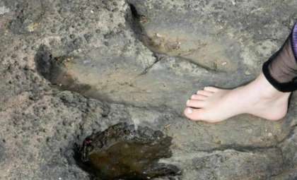 Remarkable Find: Child Discovers 200-Million-Year-Old Dinosaur Prints on a Welsh Shore
