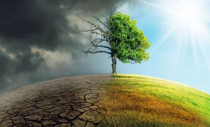 New Research Highlights the Dietary Shift Needed to Protect Our Planet