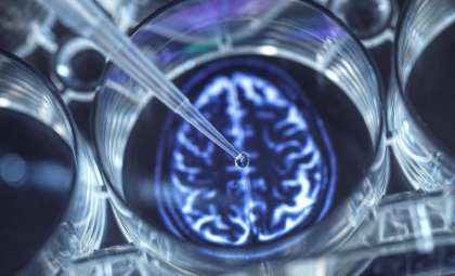 Antidepressant Vortioxetine Shows Potential Against Aggressive Brain Tumor, New Study Reveals