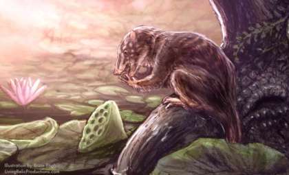 Newly Identified Swamp Mammal from Dinosaur Era Unearthed in Colorado