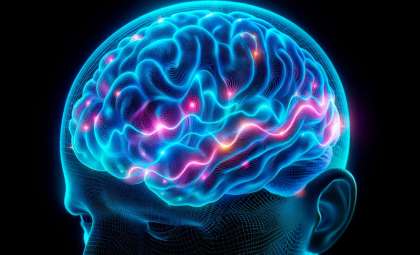 How Daily Habits Influence Brain Function for Weeks