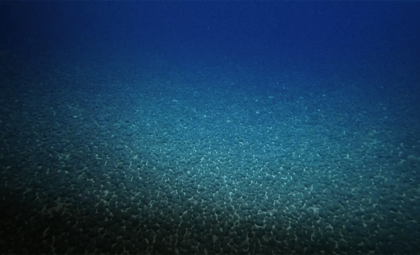 Japan Uncovers $26 Billion Deep-Sea Mineral Wealth Set to Boost Economy and Tech Industry