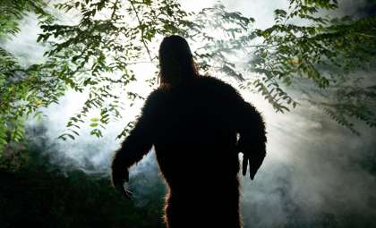 AI Stabilization Sheds New Light on Iconic Bigfoot Footage