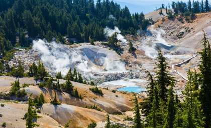 Gray Wolves Reappear in California’s Lassen Volcanic National Park After a Century Away