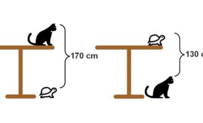Can You Calculate the Height of This Mysterious Table?