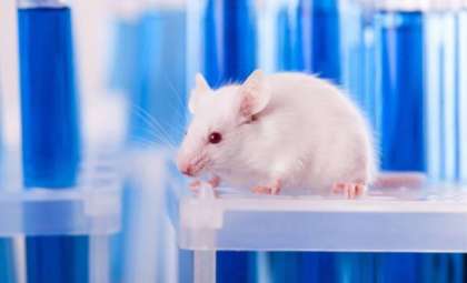 Researchers Develop Mouse Using Gene Older Than Animal Kingdom