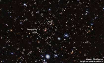 Webb Telescope Reveals Hidden Galaxies in the Faraway Spiderweb Protocluster