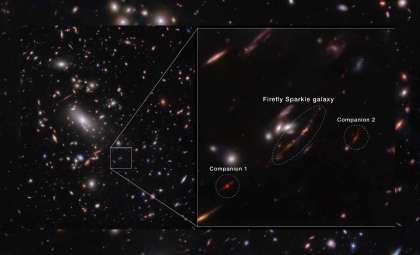 Webb Telescope Uncovers Young Galaxy Sparkling with Early Star Clusters