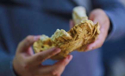 Fossil Find in Türkiye Challenges Africa-Only Origin of Human Ancestors