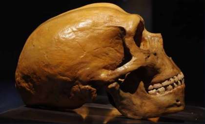 Newly Identified Human Ancestor Reshapes Understanding of Human Origins