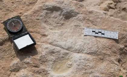 Ancient Human Footprints Unearthed in Saudi Arabia Rewrite Migration History