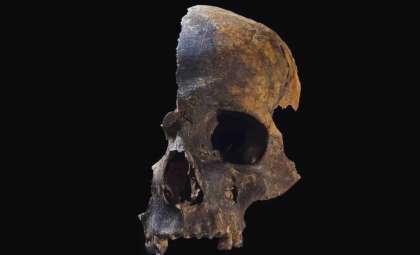 Uncovering the Grisly Truth Behind a 4,000-Year-Old Massacre in Ancient England