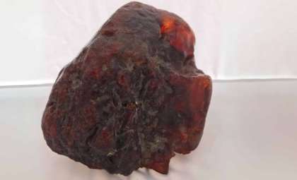 Ordinary Doorstop Revealed as a Rare $1 Million Amber Relic