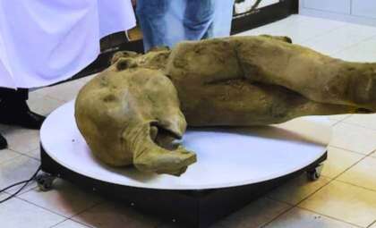 Remarkable Baby Mammoth Unearthed in Siberian Ice After 50,000 Years