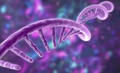 Unveiling Obelisks: Newly Found RNA Entities Inside Human Microbes
