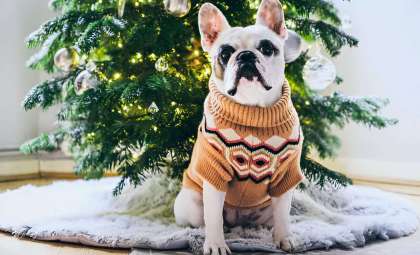 Unraveling the Physics That Makes Your Holiday Sweater So Comfortable