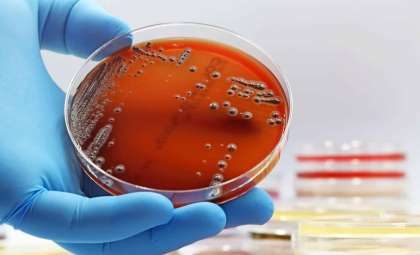 Experts Urge Caution Over Emerging Threat of Mirror-Image Bacteria
