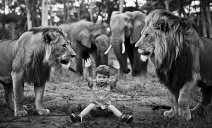 Young Boy Endures 5 Days Alone Amid Lions and Elephants in Zimbabwe Wilderness