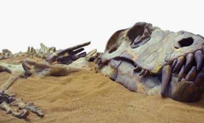 Ancient 12-Million-Year-Old Juvenile Gharial Unearthed in Peru's Ocucaje Desert