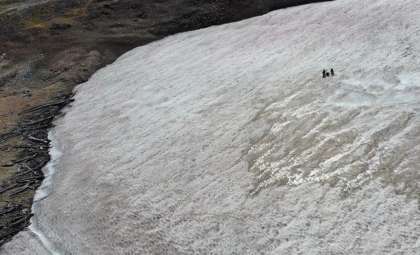 5,000-Year-Old Frozen Forest Emerges from Melting Ice in the Rockies