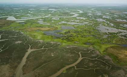 Arctic Regions Shift from Carbon Storage to Emission Hotspots