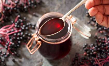 Elderberry Supplements: Separating Fact from Fiction in Cold and Flu Relief