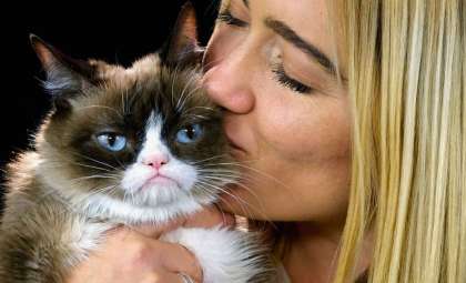 Do Cats Truly Recall Their Owners? Insights from Science