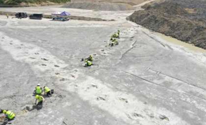 UK Uncovers Largest Dinosaur Footprint Trackway from 166 Million Years Ago