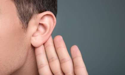 Scientists Uncover Why Our Brains Still Try to Move Our Ears