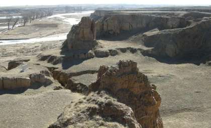 Ancient Fossils with Massive Brains Unearthed in China—A Potential Link to Our Ancestry?