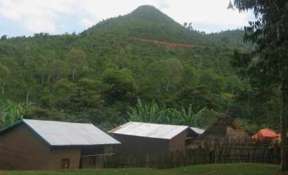New Species of African House Snake Emerges from Decades in Captivity