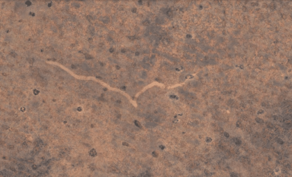 Uncovering a Rare Tornado Scar in Australia's Nullarbor Plain via Satellite Imagery